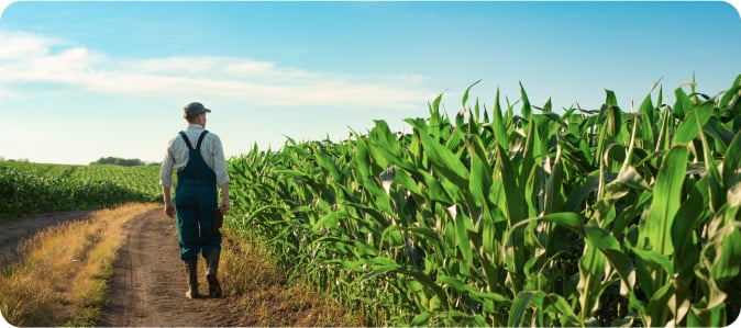 Il nostro legame con il territorio